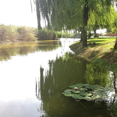 Donau Villa *